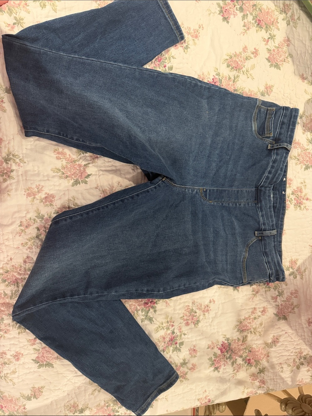 Time and Tru Women's Skinny Jeans in Blue Wash